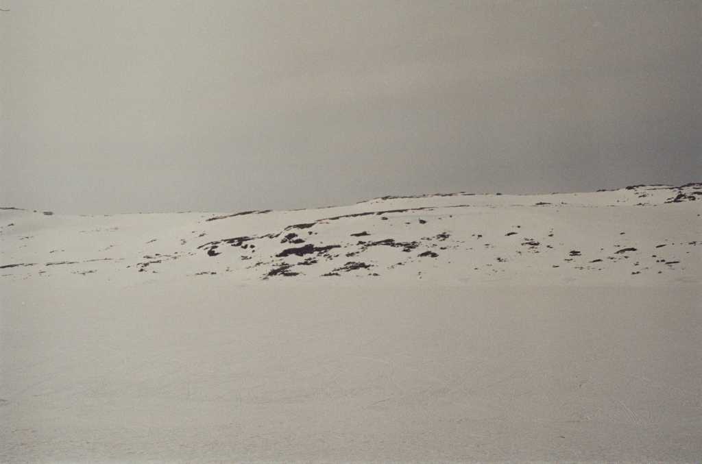 Slow Winter Morning