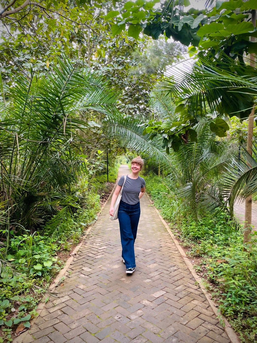 Everyday Life and&nbsp;Plants